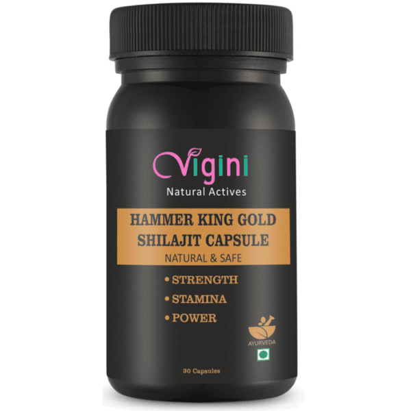 Vigini Hammer King Massage Gel for Men 50g | Shilajit Gold Ayurvedic Capsule 30Caps